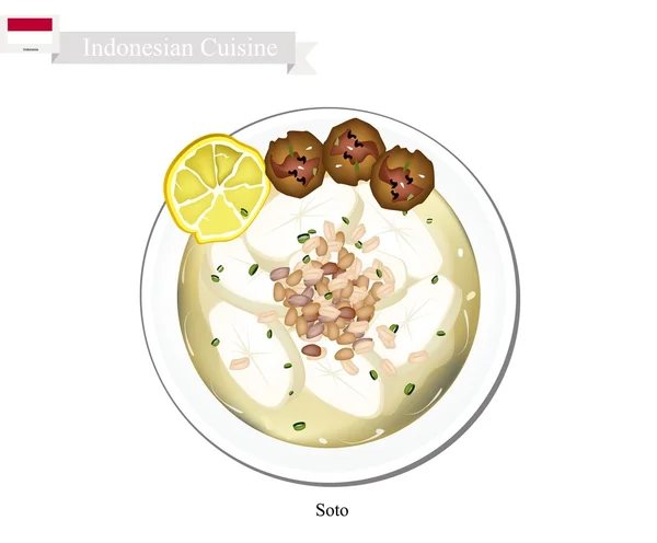Сото или индонезийский куриный суп с мясом — стоковый вектор