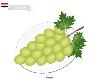 Olgun üzüm, Irak'taki popüler bir meyve