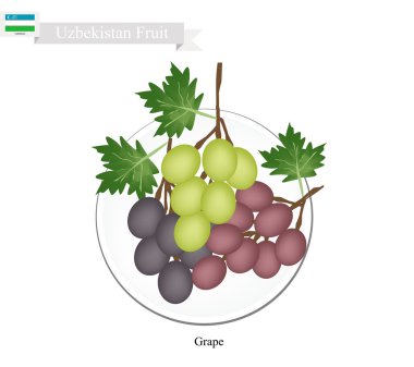Olgun Üzüm, Özbekistan'da Popüler Bir Meyve