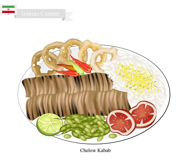 Chelow Kabab, Il cibo nazionale dell'Iran — Vettoriale Stock