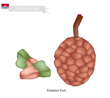 Pandanus Tectorius, Kiribati yerel bir meyve