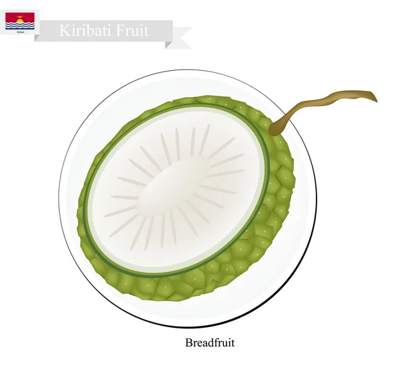 Ripe Breadfruit, A Popular Fruit in Kiribati — Stock Vector