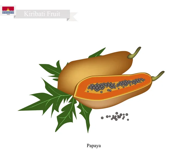 Papaya madura, una fruta famosa en Kiribati — Archivo Imágenes Vectoriales