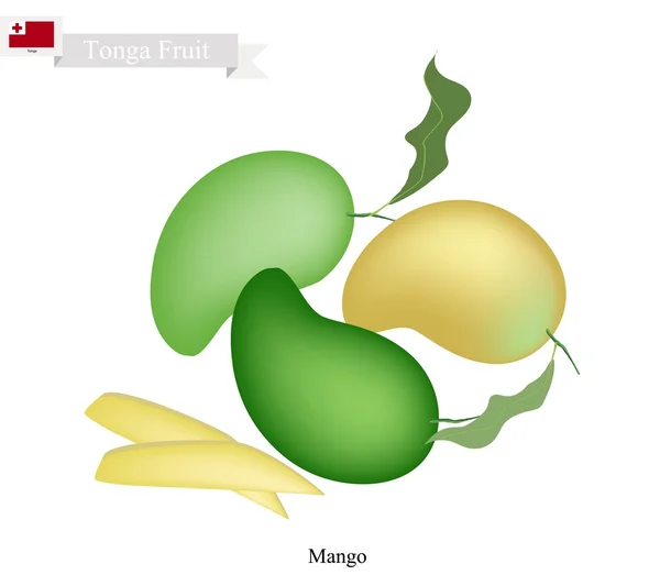 Čerstvá Mango, slavný ovoce v Tonga — Stockový vektor