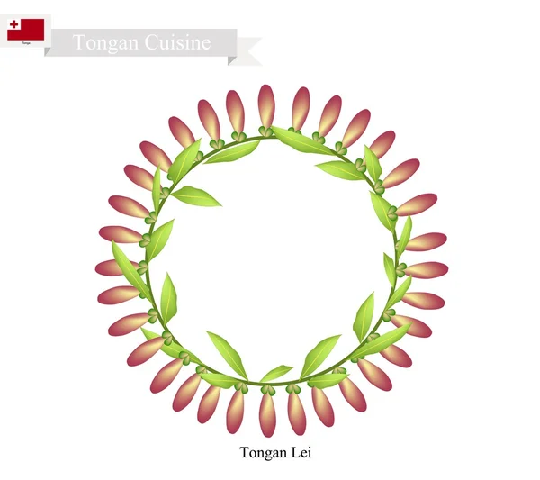 Tonga Lei veya Heilala çiçeklerden yapılmış Tonga Garland — Stok Vektör