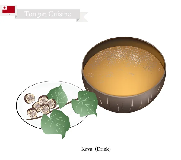 Bebida de Kava o bebida tradicional de hierbas Tongan — Vector de stock