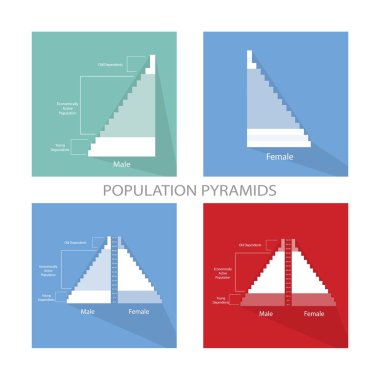 Nüfus piramitleri Grafikler ayrıntı yaş üzerinde bağlıdır