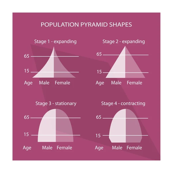 Cuatro tipos diferentes de gráficos de pirámides de población — Vector de stock