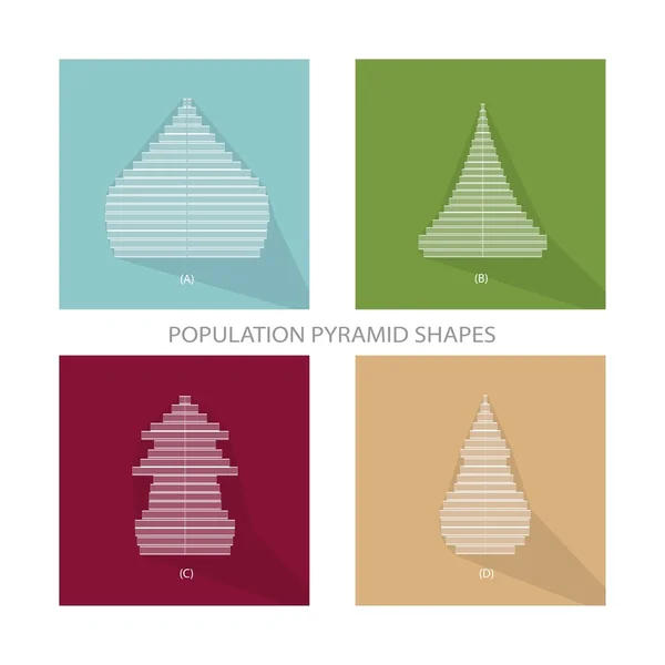 Quattro tipi differenti di grafici delle piramidi della popolazione — Vettoriale Stock