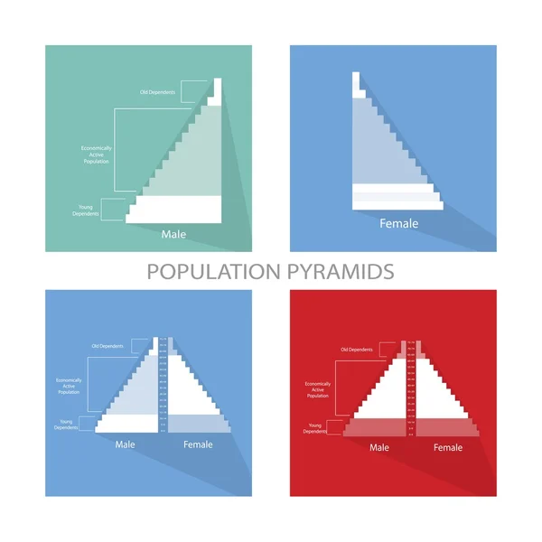 Nüfus piramitleri Grafikler ayrıntı yaş üzerinde bağlıdır — Stok Vektör