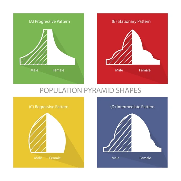 Los 4 tipos de gráficos de pirámides de población — Vector de stock