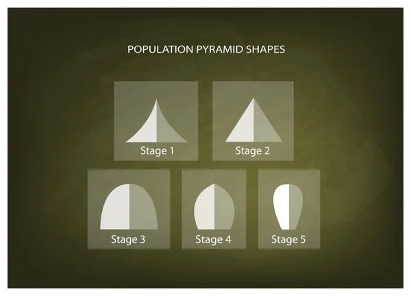Diferentes tipos de pirâmides populacionais em fundo de papelão — Vetor de Stock