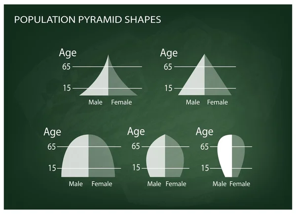 Diferentes tipos de pirámides de población en el fondo de pizarra — Vector de stock
