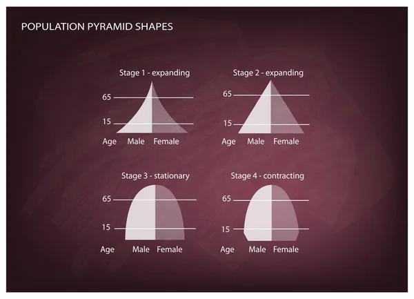 Cuatro tipos de pirámides de población en el fondo de pizarra — Vector de stock