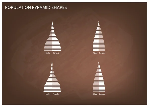 Nüfus piramitleri grafik 4 türleri — Stok Vektör