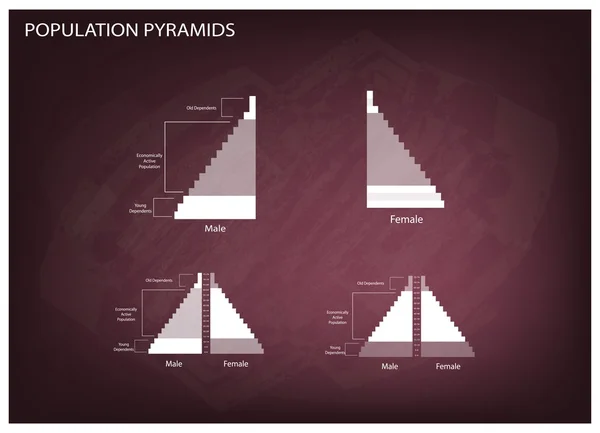 Dettaglio dei grafici delle piramidi della popolazione dipende dall'età e dal sesso — Vettoriale Stock