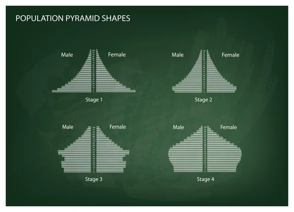 Nüfus piramitleri kara tahta arka plan üzerinde dört türü — Stok Vektör