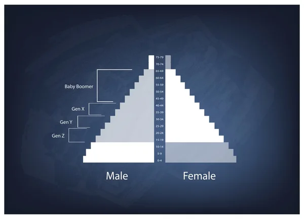 Diagramme der Bevölkerungspyramiden mit 4 Generationen — Stockvektor