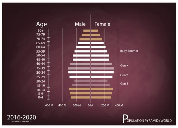 2016-2020 populacji wykresy piramid z 4 generacji — Wektor stockowy