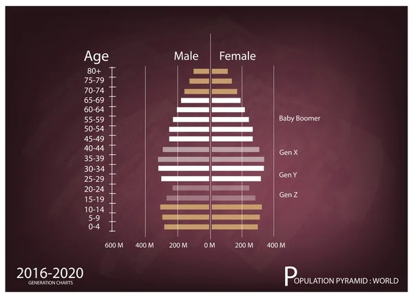 Gráficos de pirámides de población 2016-2020 con 4 generaciones — Archivo Imágenes Vectoriales