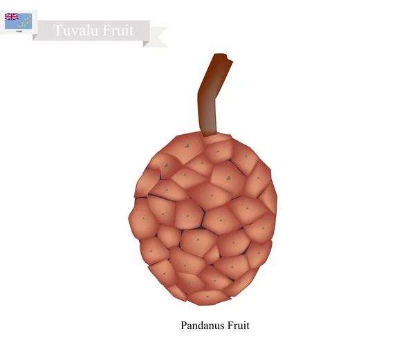 Rijpe schroef Pine, een inheemse Fruit in Tuvalu — Stockvector