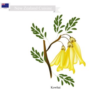 Kowhai çiçek, Yeni Zelanda Ulusal çiçeği