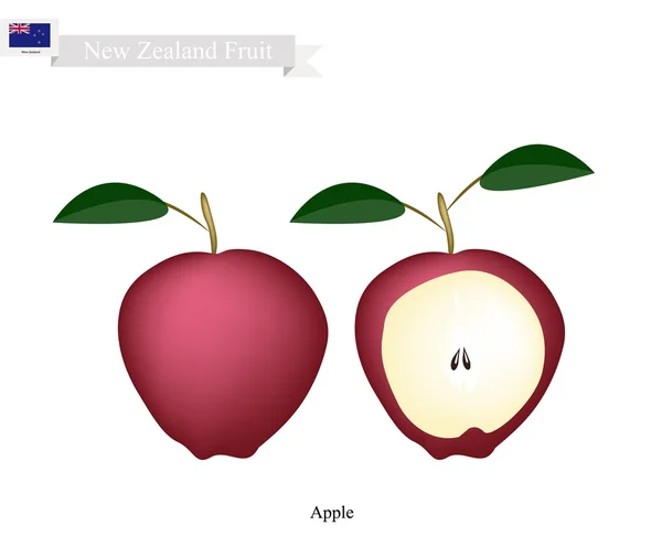 Świeże jabłka, popularny owoc w Nowej Zelandii — Wektor stockowy