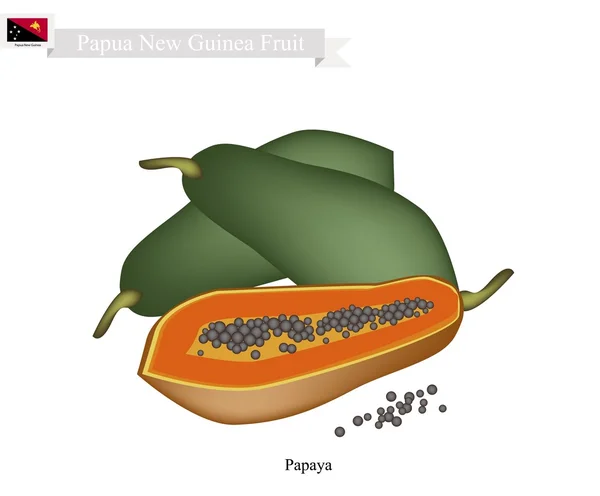 Rijpe papaya, een beroemd fruit in Papoea-Nieuw-Guinea — Stockvector