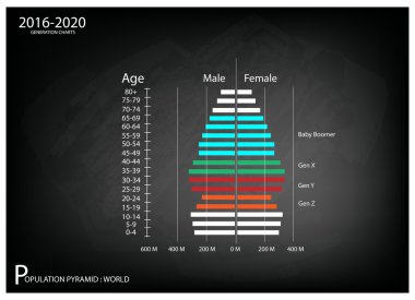 2016-2020 nüfus piramitleri grafikler ile 4 üretimi