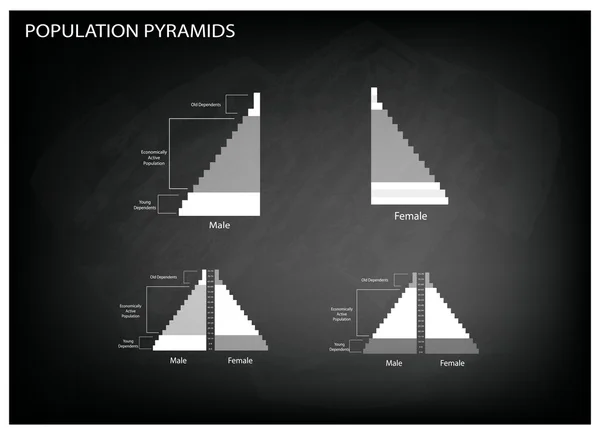 Detalle de las pirámides de población Los gráficos dependen de la edad y el sexo — Vector de stock