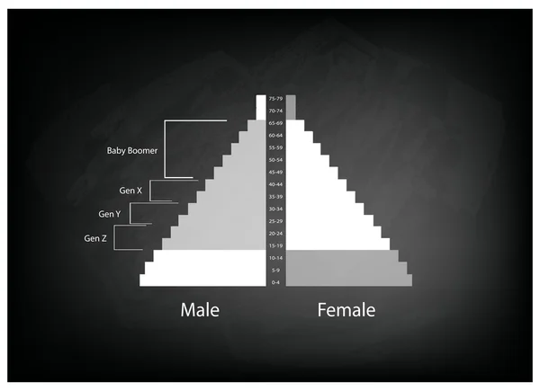 The Population Pyramids Graphs with 4 Generation — Stock Vector