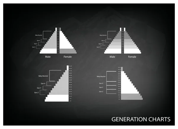 Las Pirámides de Población Gráficas con 4 Generaciones — Vector de stock