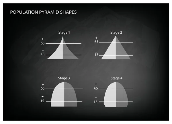 Nüfus piramitleri kara tahta arka plan üzerinde dört türü — Stok Vektör