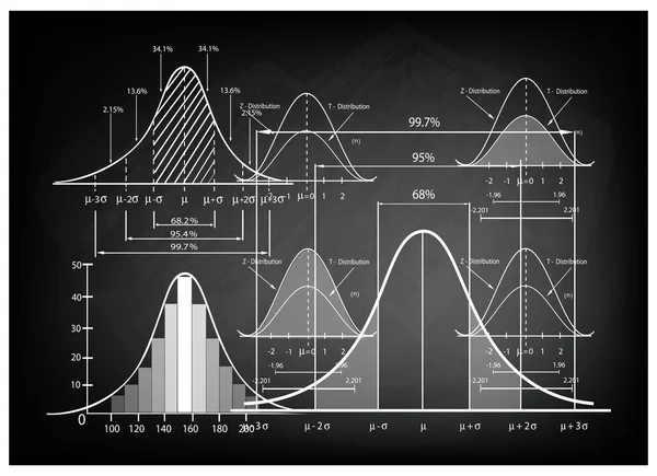 Standard Deviation Diagram with Sample Size Chart — Stock Vector