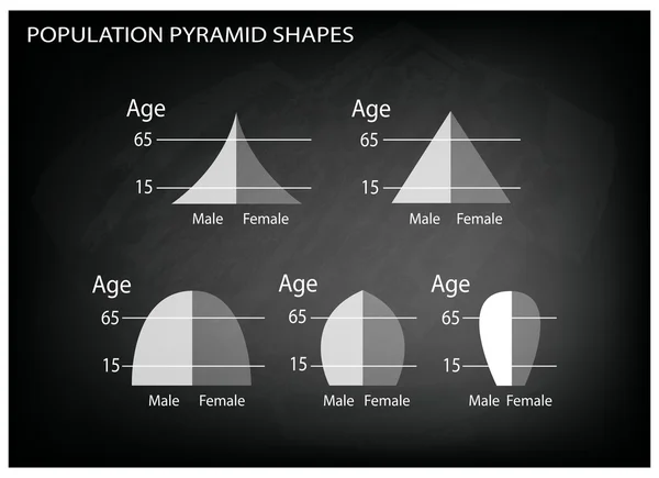 Different Types of Population Pyramids on Chalkboard Background — Stock Vector