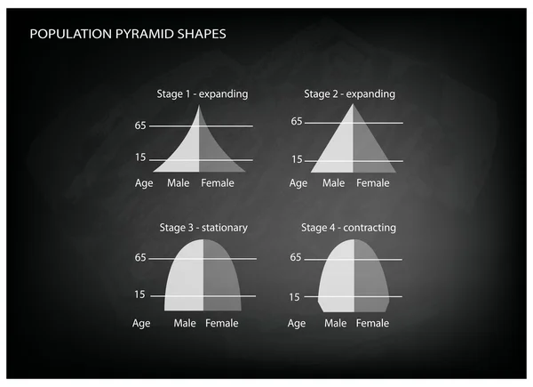 Cuatro tipos de pirámides de población en el fondo de pizarra — Vector de stock