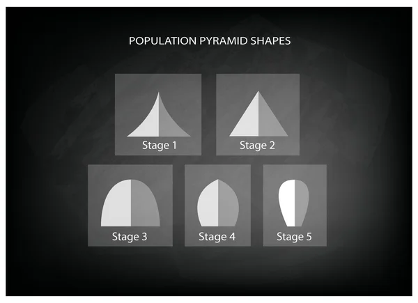 Diversi tipi di piramidi di popolazione su sfondo lavagna — Vettoriale Stock