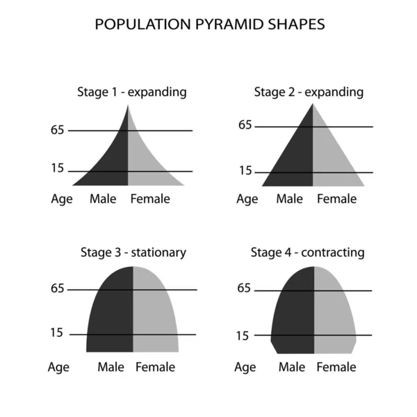 Población Demografía Ilustración Conjunto Tipos Gráfico Piramidal Población Gráfico Estructura — Vector de stock