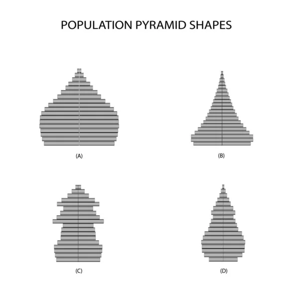 Bevolking Demografie Illustratie Van Soorten Bevolkingspiramides Grafiek Leeftijdsopbouw Geïsoleerd Witte — Stockvector