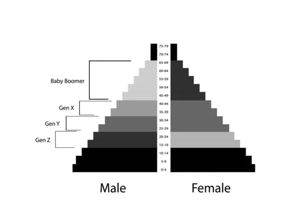 Bevölkerung Und Demographie Bevölkerungspyramiden Diagramm Oder Altersstrukturdiagramm Mit Babyboomer Generation — Stockvektor