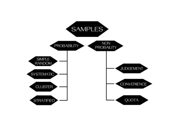 Business Marketing Research Process Classificazione Dei Metodi Campionamento Probabilità Non — Vettoriale Stock