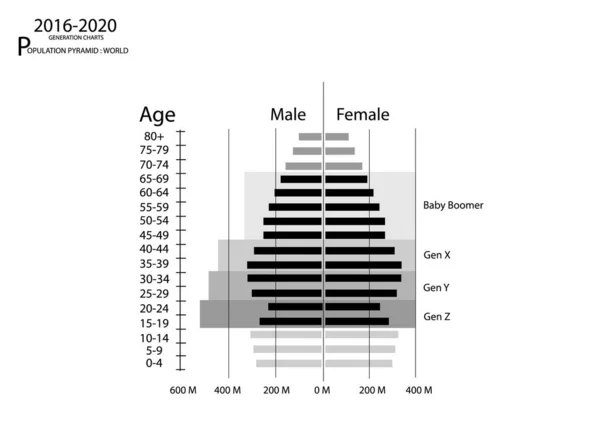 Grafico Della Popolazione Della Demografia Grafico Delle Piramidi Della Popolazione — Vettoriale Stock