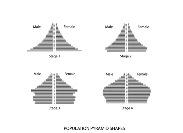Población Demografía Ilustración Conjunto Tipos Gráfico Piramidal Población Gráfico Estructura — Archivo Imágenes Vectoriales