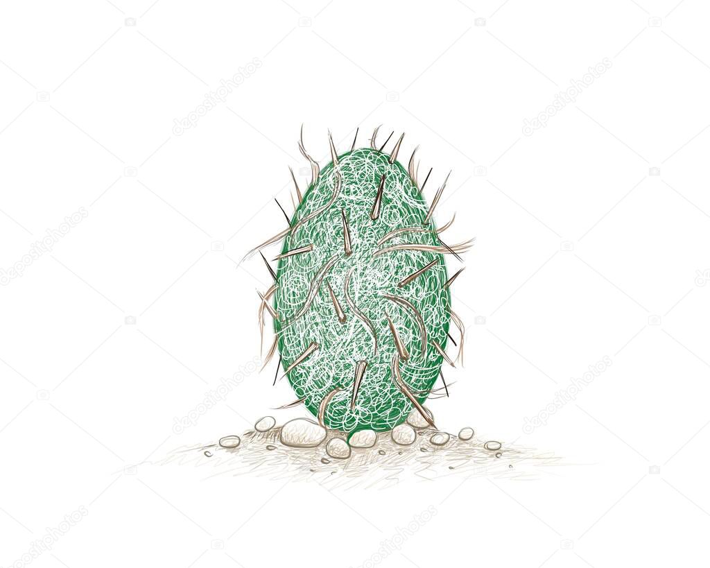 Illustration Hand Drawn Sketch of Oreocereus Trollii or Old Man of The Andes Cactus. A Succulent Plants with Sharp Thorns for Garden Decoration