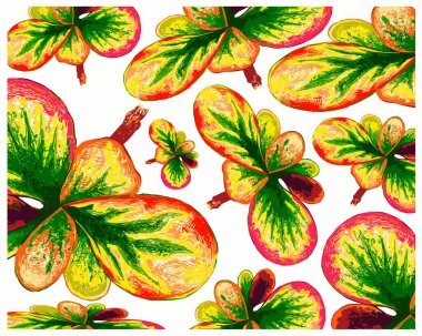 Ekolojik Kavram, Güzel Yeşil ve Sarı Noktalı Croton Bitkilerinin Çizim Arkaplanı veya Bahçe Dekorasyonu için Kodiaeum Variegatium Bitkileri