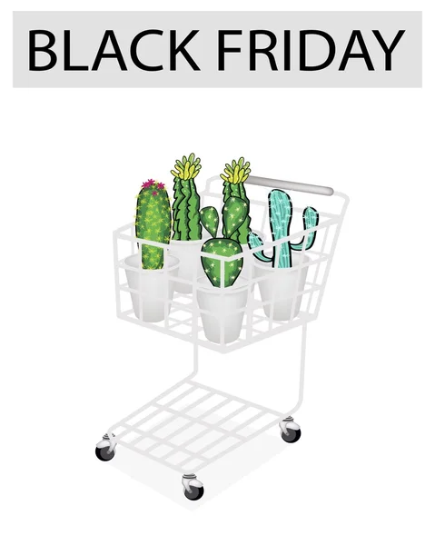 Kaktus och cactus blommor i svart fredag kundvagn — Stock vektor