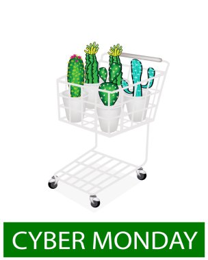 kaktüs ve cyber Pazartesi alışveriş sepeti kaktüs çiçeği.