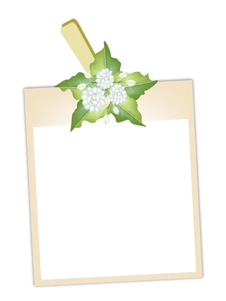 Blank Photos with Jasmine Flowers Hanging on Clothesline — Stock Vector