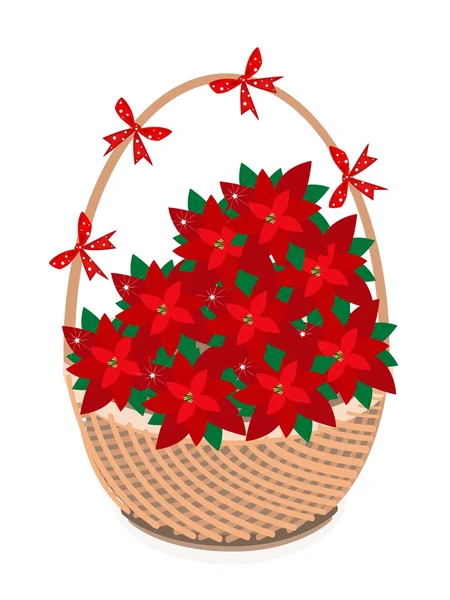 红色的圣诞一品红的棕色篮子花 — 图库矢量图片