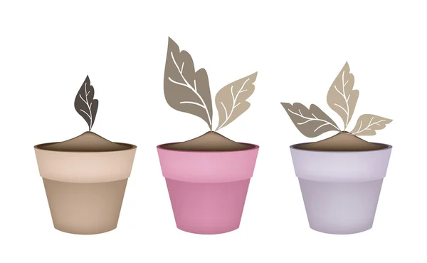 Trois arbres bruns abstraits dans des pots de fleurs — Image vectorielle